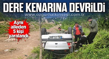 Kontrolden çıkan otomobil dere kenarına devrildi
