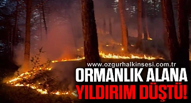 Ormanlık alana düşen yıldırım yangına neden oldu