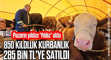 Pazarın yıldızı ‘Yıldız' oldu; 850 kiloluk kurbanlık 285 bin TL'ye satıldı
