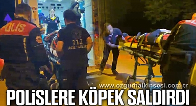 Polislere köpek saldırdı