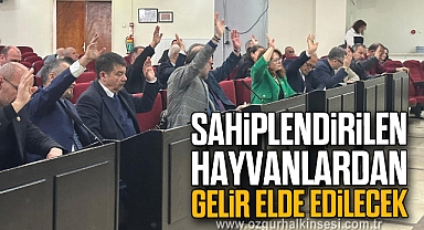 SAHİPLENDİRİLEN HAYVANLARDAN GELİR ELDE EDİLECEK