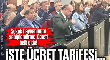 Sokak hayvanlarını sahiplendirme ücreti belli oldu!