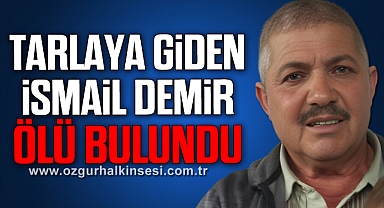 Tarlaya giden yaşlı adam ölü bulundu