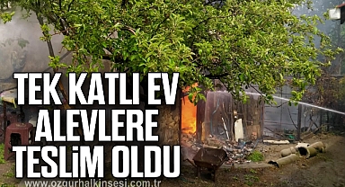 Tek katlı ev alevlere teslim oldu