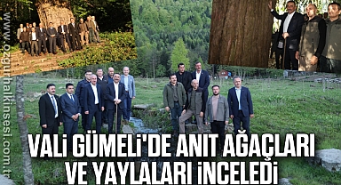 Vali Gümeli'de anıt ağaçları ve yaylaları inceledi