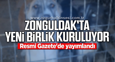 Zonguldak’ta “Sahipsiz Hayvanları Koruma Birliği” Kuruldu