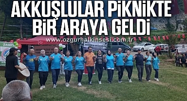 Akkuşlular Piknikte Bir Araya Geldi