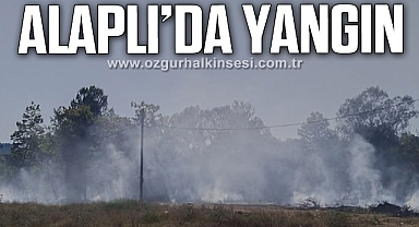Alaplı'da yangın!