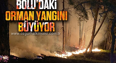 Bolu’daki orman yangını büyüyor