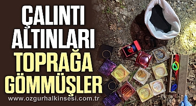 Çalıntı altınları toprağa gömmüşler