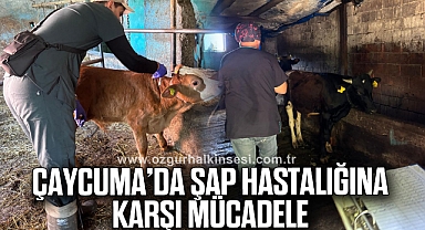 Çaycuma’da Şap Hastalığına Karşı Mücadele