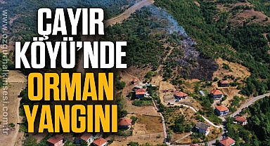 Çayır Köyü'nde Orman Yangını