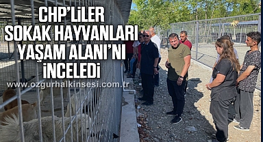 CHP’liler Sokak Hayvanları Yaşam Alanı’nı inceledi