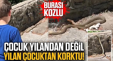 ÇOCUK YILANDAN DEĞİL YILAN ÇOCUKTAN KORKTU!
