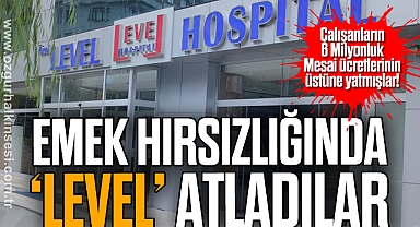 Emek Hırsızlığında 'Level' atladılar