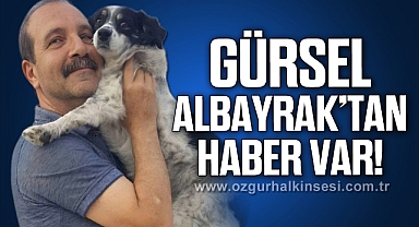 GÜRSEL ALBAYRAK’TAN HABER VAR