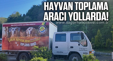HAYVAN TOPLAMA ARACI YOLLARDA!