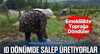 İki kardeş, 10 dönümlük arazide salep bitkisi yetiştiriyor
