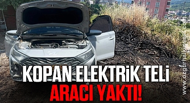 Kopan elektrik telleri otları, otlarda aracı yaktı
