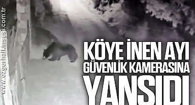 Köye inen ayı güvenlik kamerasına yansıdı