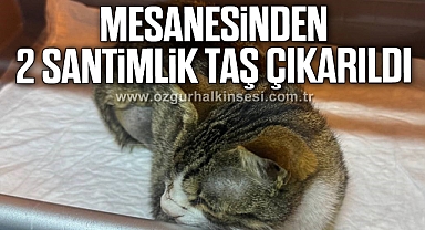 Mesanesinden 2 santimlik taş çıkarıldı