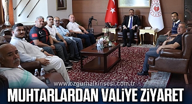 Muhtarlardan Valiye Ziyaret