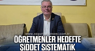 ÖĞRETMENLER HEDEFTE, ŞİDDET SİSTEMATİK