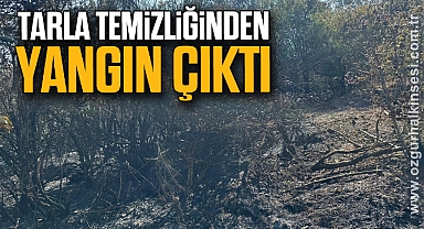 Tarla temizliğinden yangın çıktı