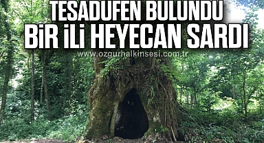 Tesadüfen bulundu, bir ili heyecan sardı