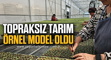 Topraksız Tarım Örnek Model Oldu