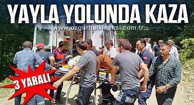 YAYLA YOLUNDA KAZA: 3 YARALI