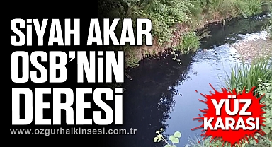 YÜZ KARASI! SİYAH AKAR OSB’NİN DERESİ…