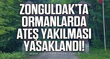 Zonguldak'ta ormanlarda ateş yakılması yasaklandı