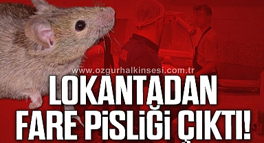 Zonguldak'ta Skandal! Lokantadan Fare Pisliği Çıktı
