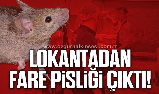Zonguldak'ta Skandal! Lokantadan Fare Pisliği Çıktı