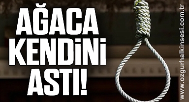 Zonguldak’ta yaşlı adam bahçede ölü bulundu