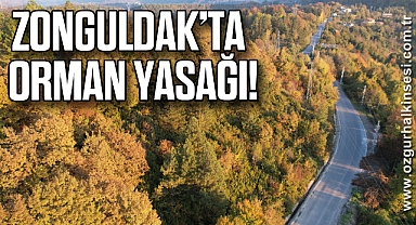 Zonguldak Valiliği 30 Eylül’e kadar ormanlara girişleri yasakladı