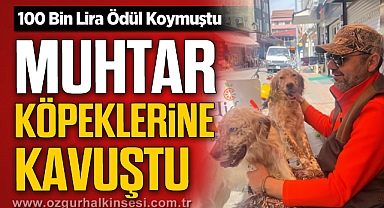 100 Bin Lira Ödül Koymuştu: Muhtar Köpeklerine Kavuştu!