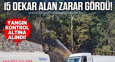 15 dekar alan zarar gördü!