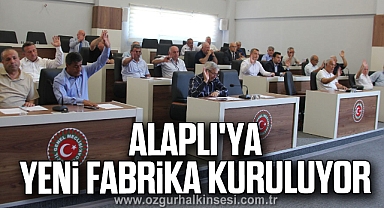 Alaplı'ya Yeni Fabrika Kuruluyor