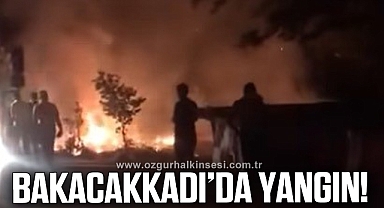 Bakacakkadı'da yangın paniği