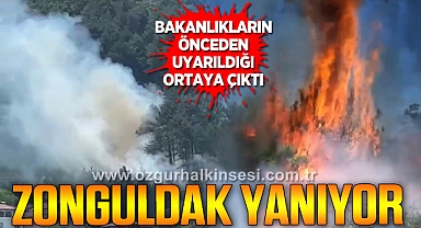 Bakanlıklar Uyarıldı, Önlem Alınmadı: Zonguldak Alev Alev