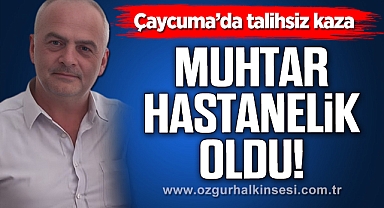 Başına Düşen Dal Muhtarı Hastanelik Etti