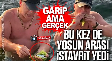 BU KEZ DE YOSUN ARASI İSTAVRİT YEDİ