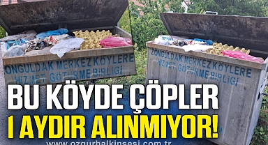 BU KÖYDE ÇÖPLER 1 AYDIR ALINMIYOR!