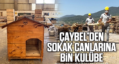 ÇAYBEL’den sokak canlarına bin kulübe