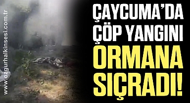 Çaycuma'da çöp yangını ormana sıçradı