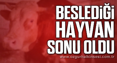 Çaycuma'da Feci Ölüm! Beslediği Hayvan Sonu Oldu...