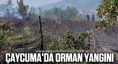 ÇAYCUMA'DA ORMAN YANGINI