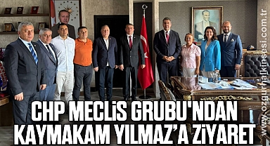 CHP MECLİS GRUBU'NDAN KAYMAKAM YILMAZ'A ZİYARET